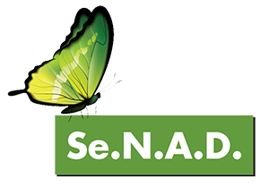 Servizio Nazionale Assistenza Disabili